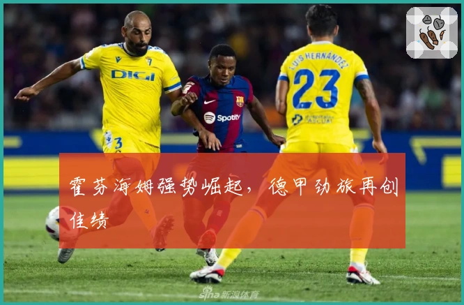 霍芬海姆强势崛起，德甲劲旅再创佳绩