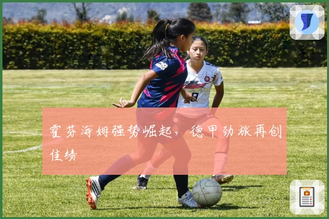 霍芬海姆强势崛起,德甲劲旅再创佳绩