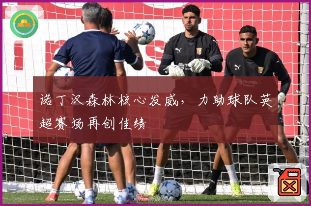 诺丁汉森林核心发威，力助球队英超赛场再创佳绩