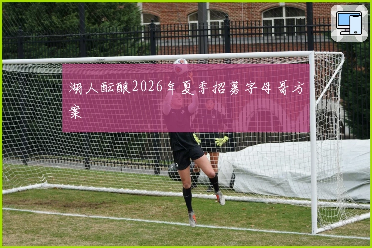 湖人酝酿2026年夏季招募字母哥方案